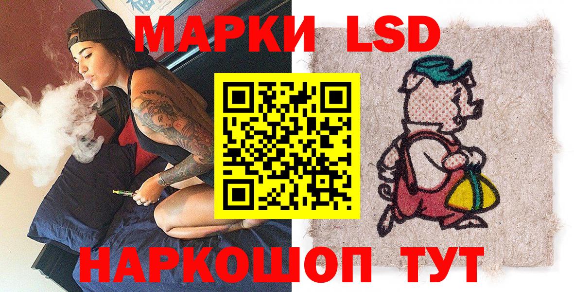 где можно купить   Марки N-bome 1,8мг  Вход с VPN  Камышин 