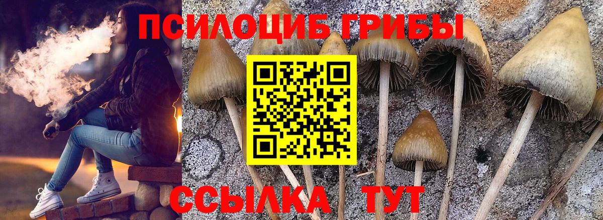 Галлюциногенные грибы GOLDEN TEACHER  Вход с VPN  Галлюциногенные грибы прущие грибы  Камышин 