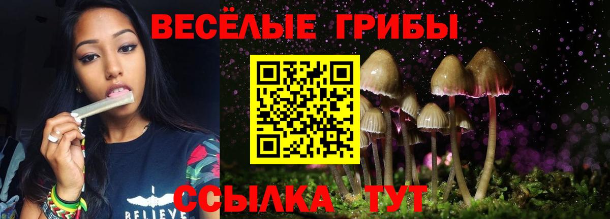 Псилоцибиновые грибы MAGIC MUSHROOMS Камышин